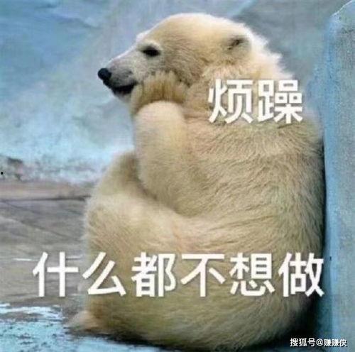 吃瓜群众图片可爱,吃瓜群众萌态集锦