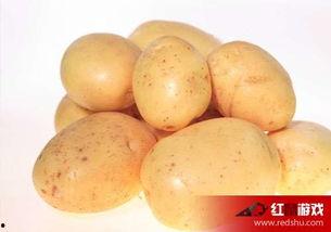 娱乐吃瓜小金土豆,揭秘吃瓜群众背后的土豆人生