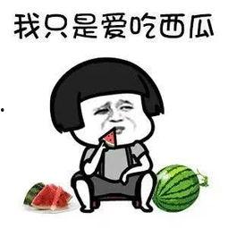 娱乐圈吃瓜的猹,揭秘“吃瓜猹”背后的八卦真相