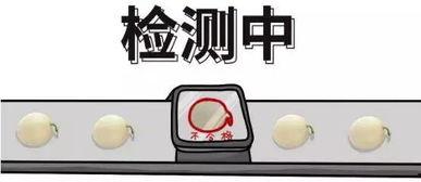 娱乐吃瓜酱几何问题,揭秘那些令人捧腹的几何趣事