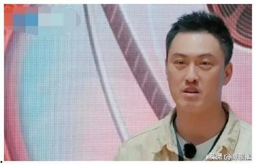 娱乐圈吃瓜爆料打假,揭秘真假难辨的八卦传闻