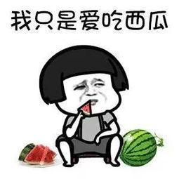 有什么娱乐圈瓜可以吃,揭秘明星幕后故事与精彩瞬间